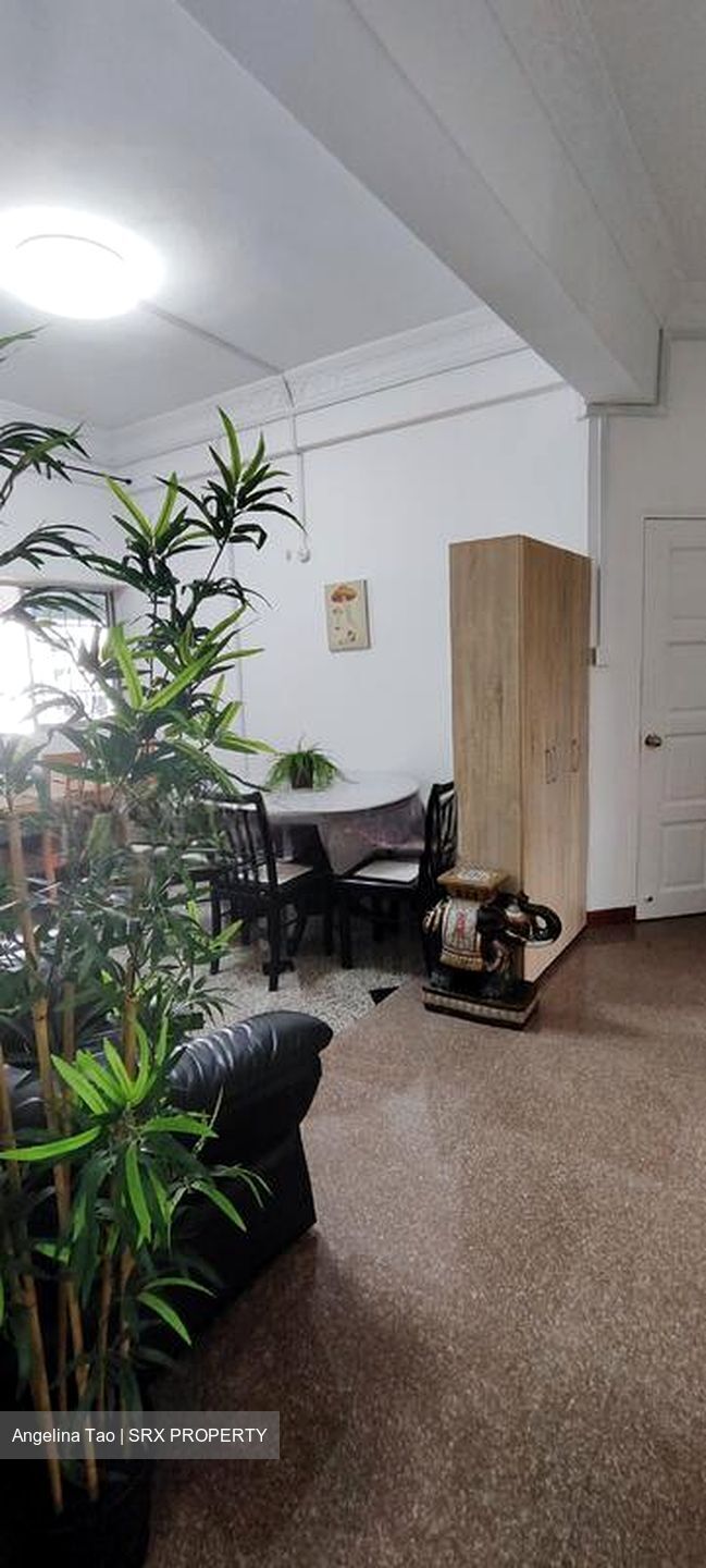 Balestier Plaza (D12), Apartment #498065841